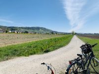 Gestalte mit uns den Weg Deiner Region!